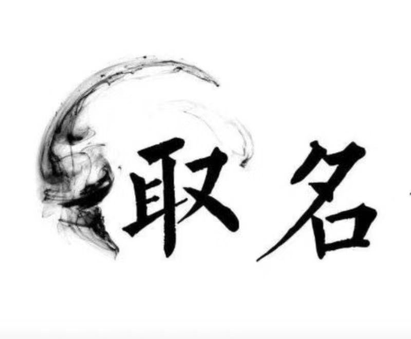  安阳宝宝取名 大师一对一人工起名